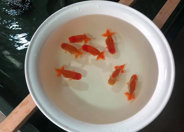 水族箱設置 水族箱設置