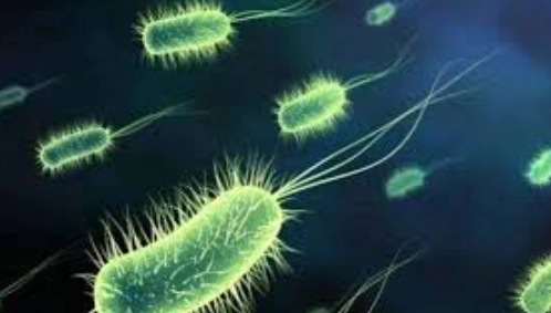 水族箱硝化系統