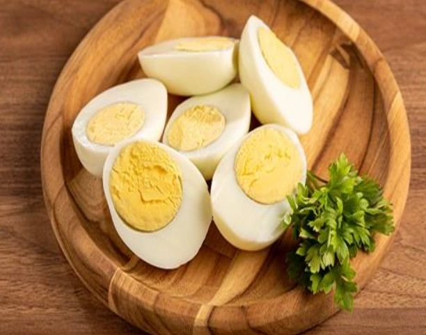 幼貓 水煮蛋 幼貓 水煮蛋