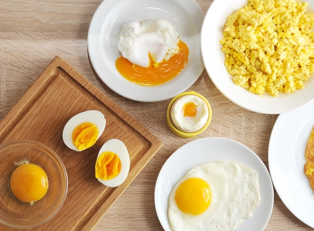 幼貓 副食品 幼貓 副食品