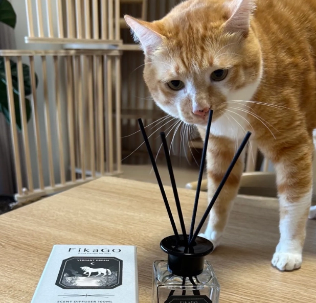 貓咪不能聞香水？獸醫與行為專家深度解析危害與安全指南