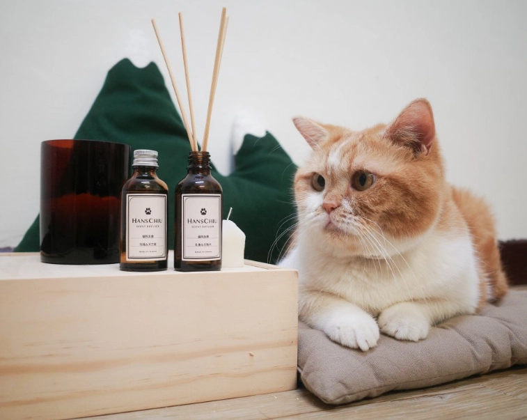 貓咪香薰推薦 貓咪香薰推薦