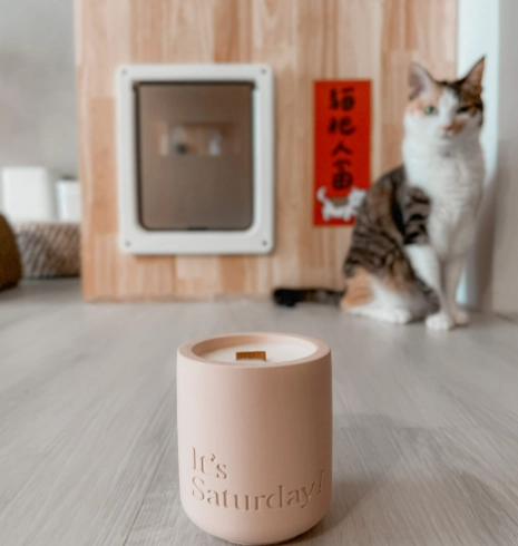 貓咪香薰推薦 貓咪香薰推薦