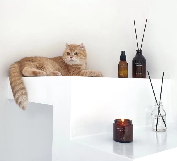 貓咪香薰推薦 貓咪香薰推薦