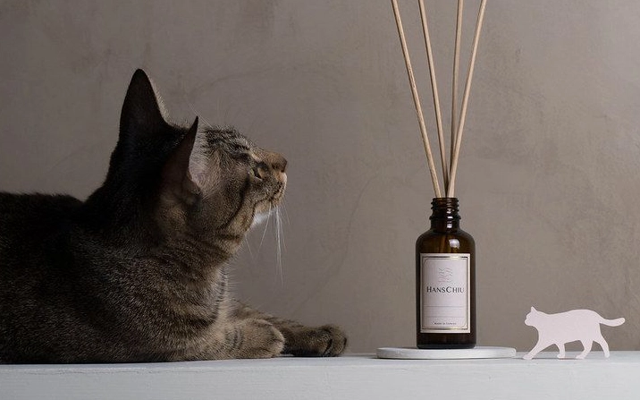 寵物安全香氛 寵物安全香氛