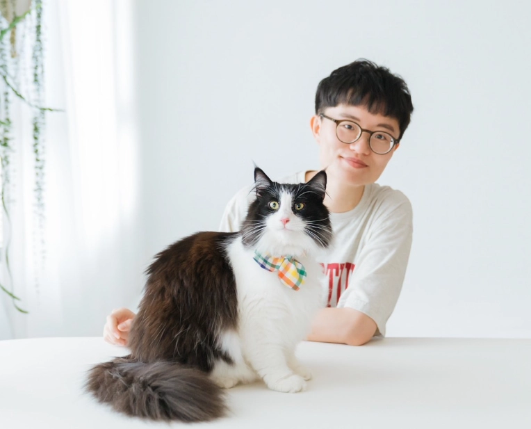 貓咪行為訓練全攻略：從亂抓到半夜跑酷，一次解決常見問題