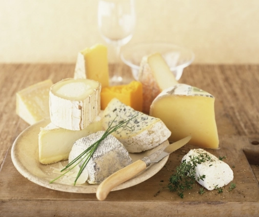 貓 零食 選擇 貓 零食 選擇