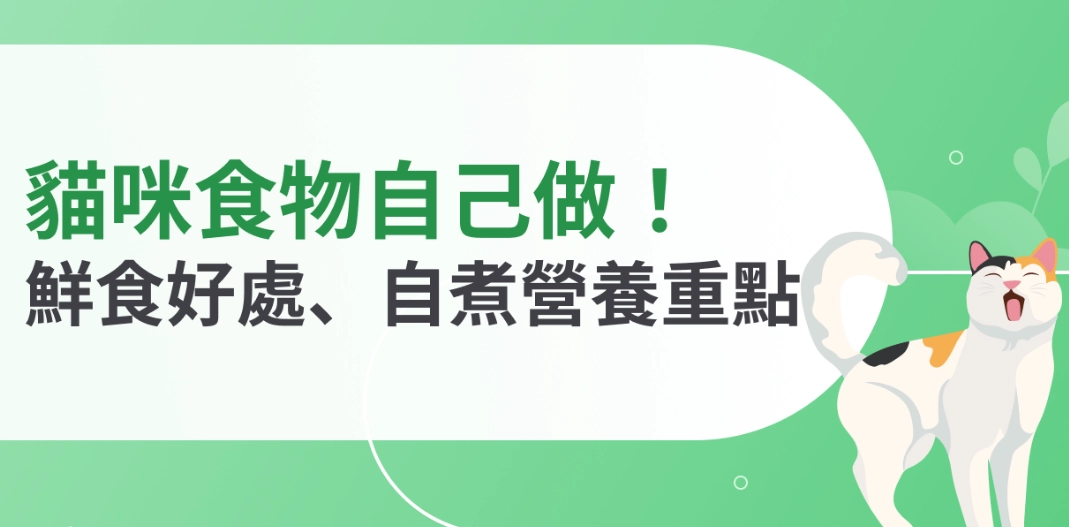 貓咪鮮食食譜
