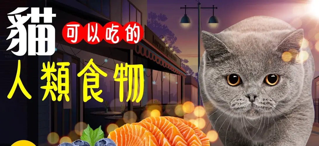 貓咪不能吃的食物