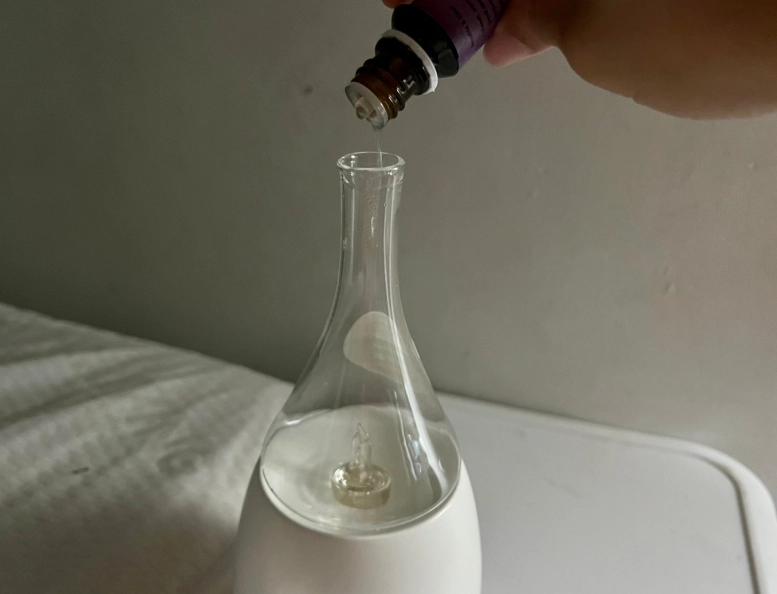 薰衣草 貓咪 中毒 薰衣草 貓咪 中毒