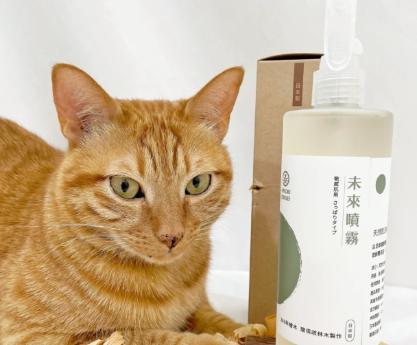 貓咪 桧木 安全