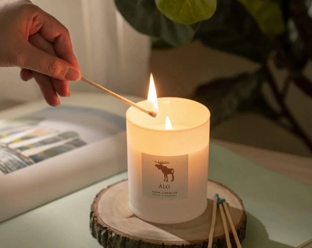 貓咪 可以 聞 的 精油