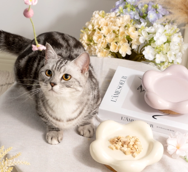 貓咪 可以 聞 的 精油