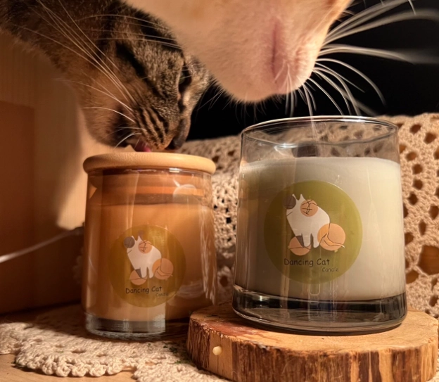 貓咪安全蠟燭