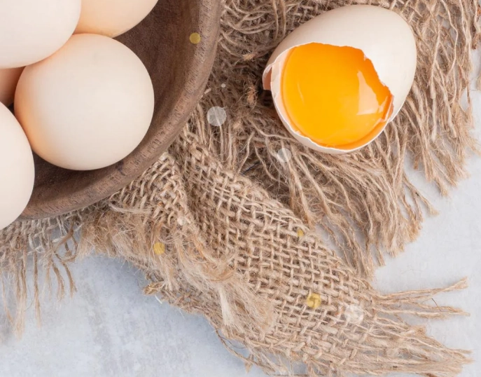 貓咪蛋黃好處 貓咪蛋黃好處