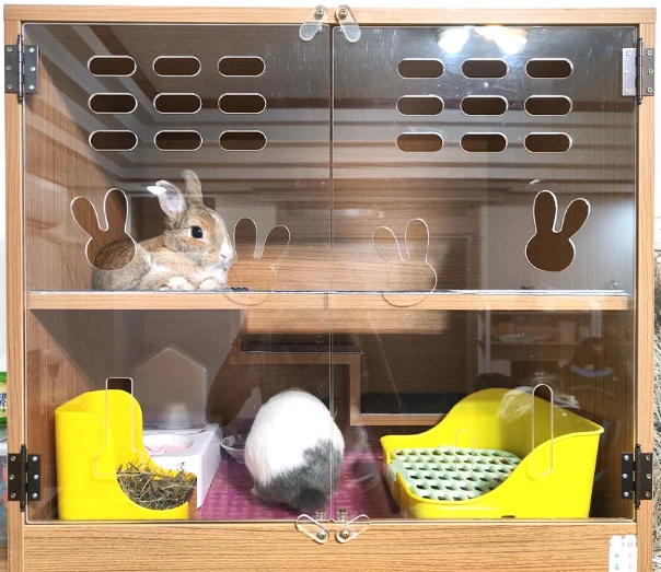 兔子飼養空間規劃
