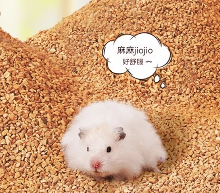 倉鼠飼養濕度控制