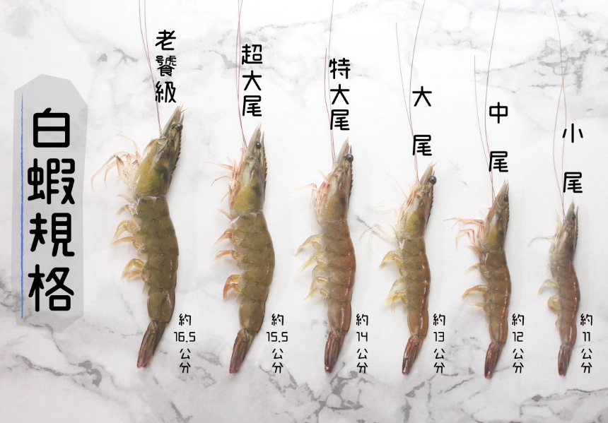 草蝦