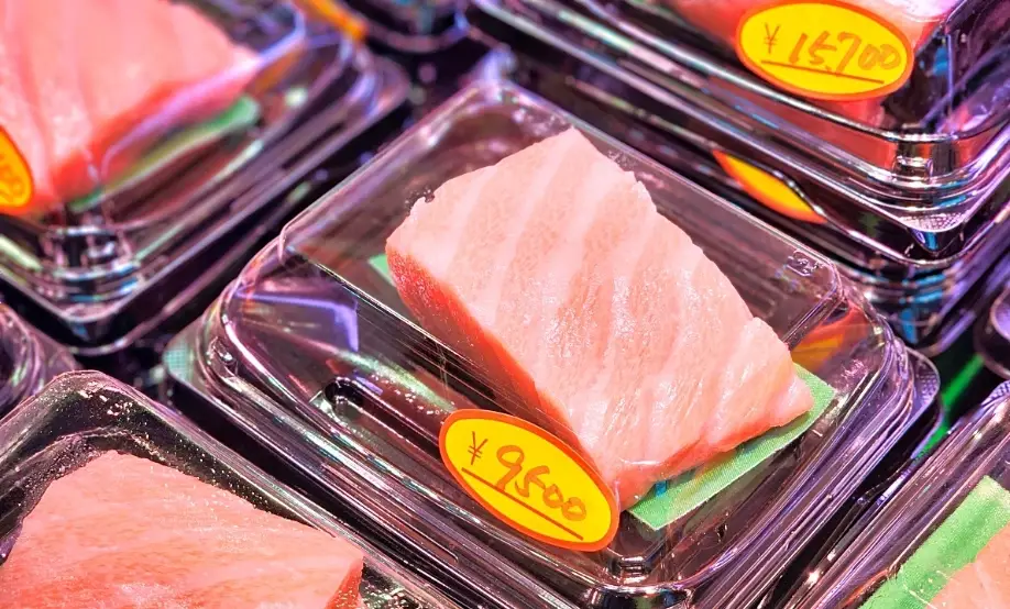 鮪魚種類 鮪魚種類