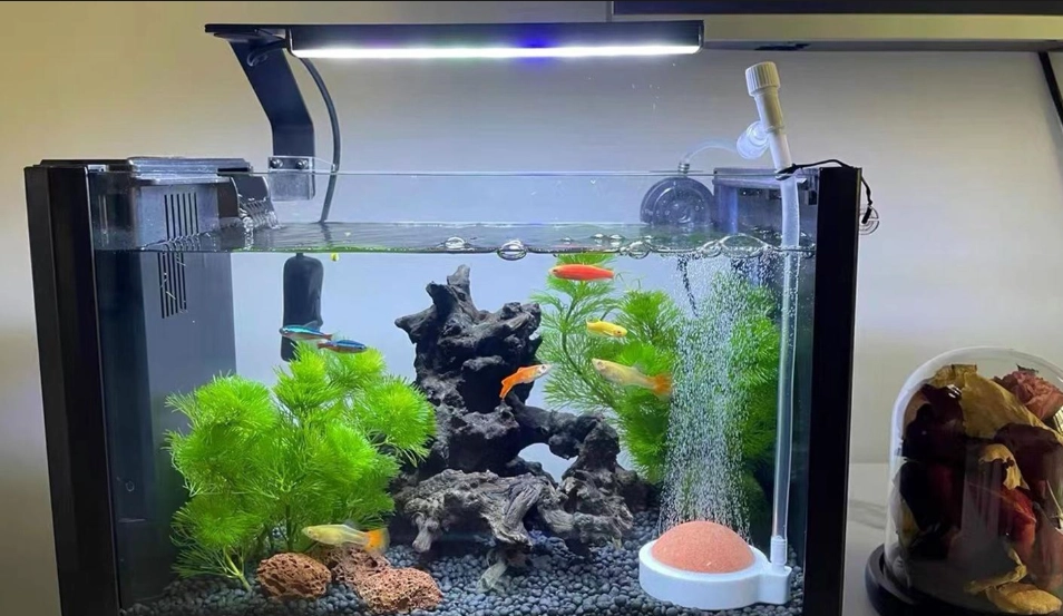 魚缸氣泡過多 魚缸氣泡過多