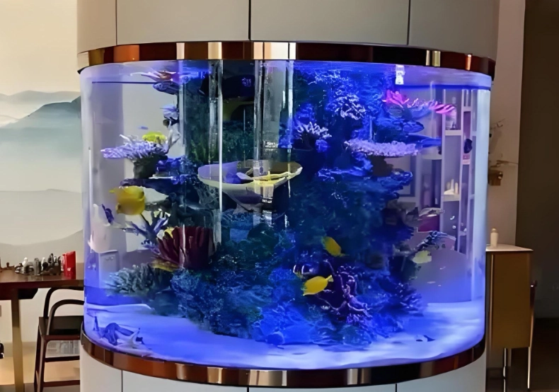 礦泉水養魚