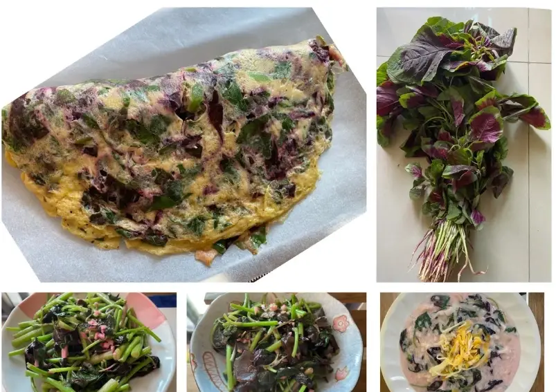 莕菜做法 莕菜做法