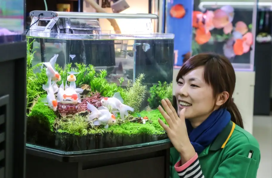 風水魚缸數目