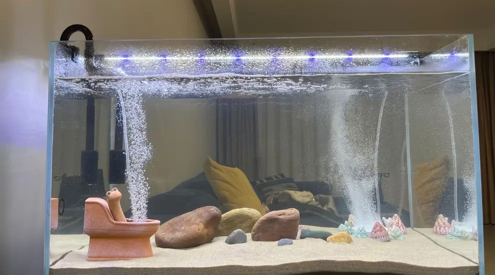 魚缸氣泡過多 魚缸氣泡過多