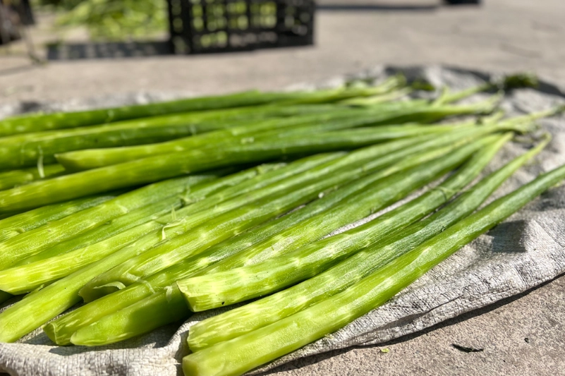 貢菜食譜 貢菜食譜