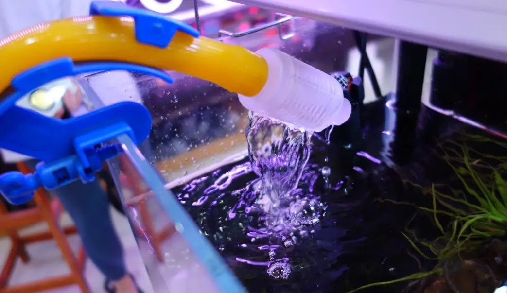 水黴病治療