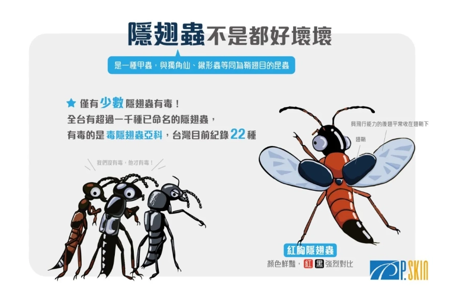 隱翅蟲驅除 隱翅蟲驅除