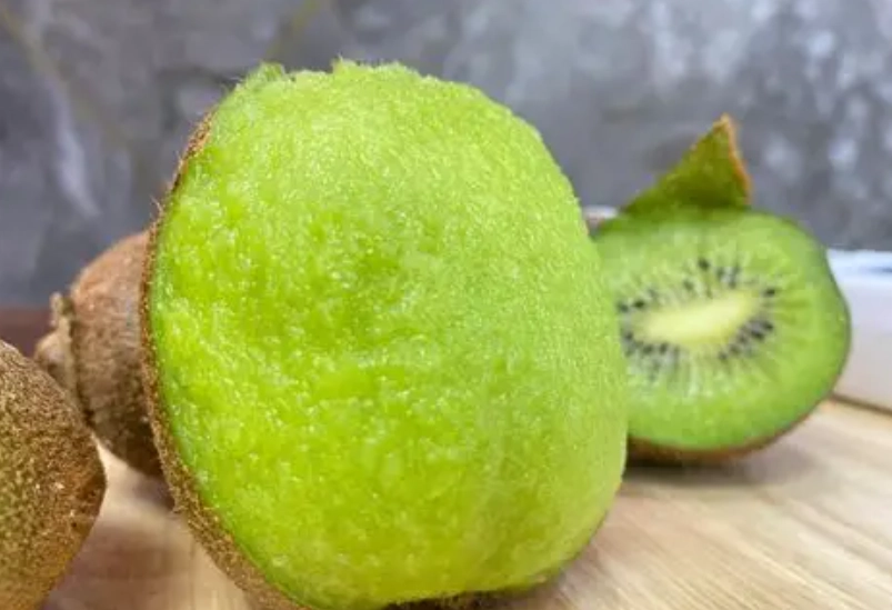 貓吃奇異果 貓吃奇異果