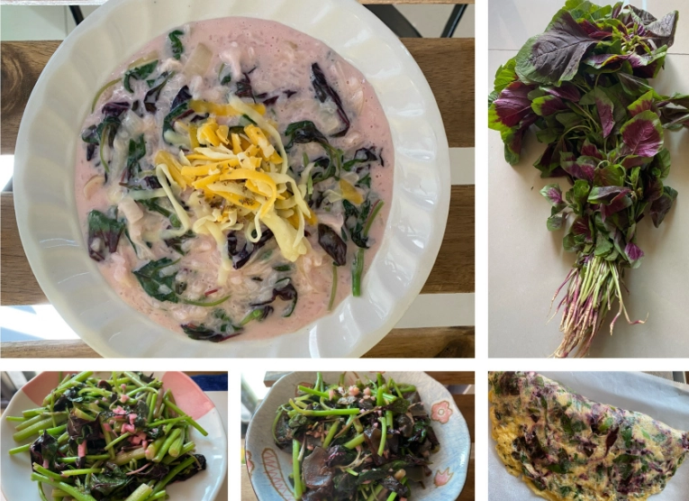 莕菜食譜 莕菜食譜