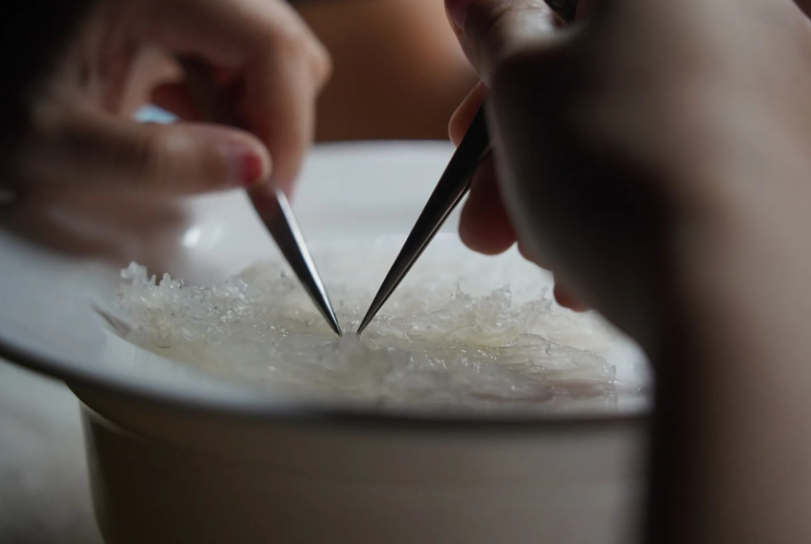 亞答子是什麼 亞答子是什麼