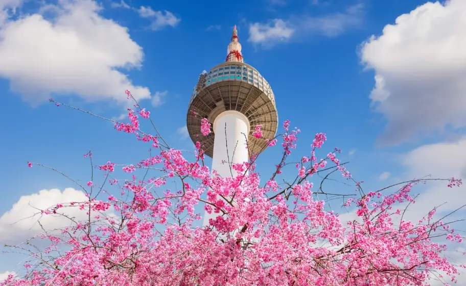 韓國自由行必帶 韓國自由行必帶