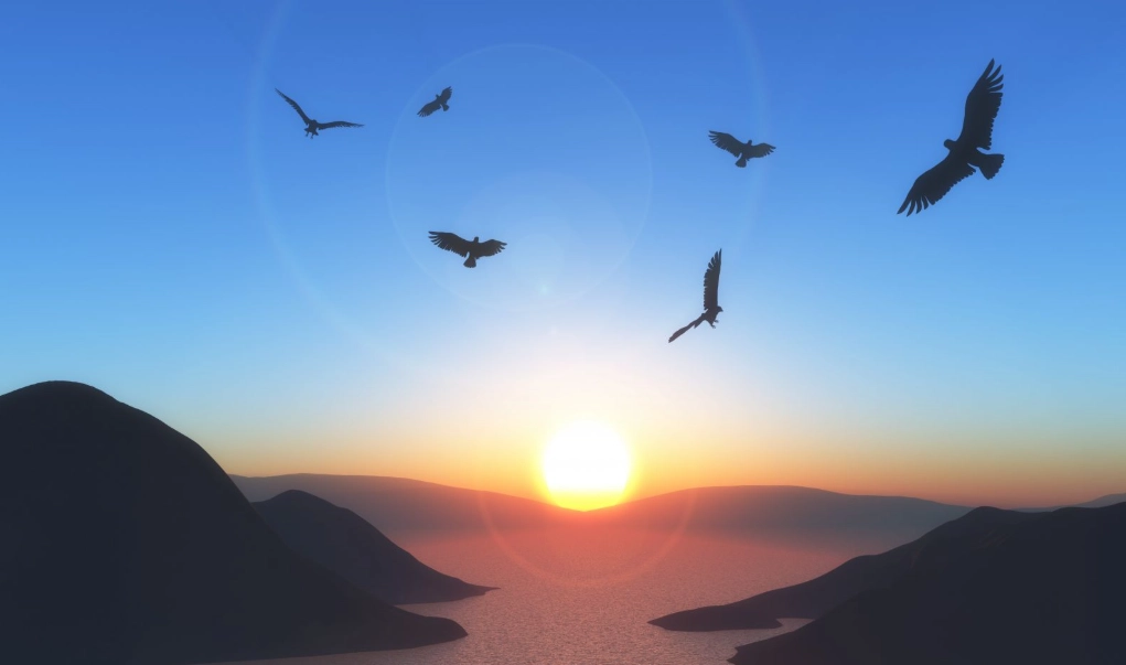夜間鳥叫聲 夜間鳥叫聲