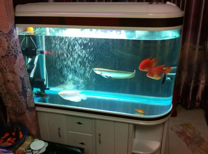 氣泵調整方法 氣泵調整方法