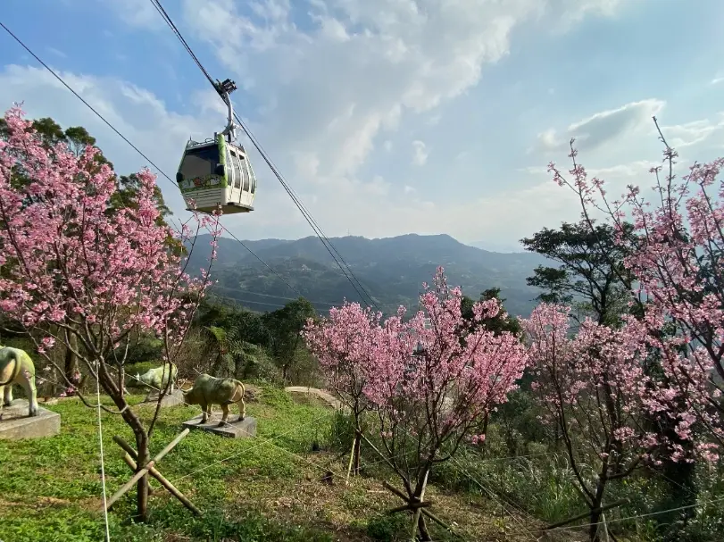 貓空纜車