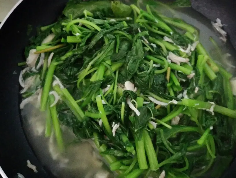 昭和草 昭和草