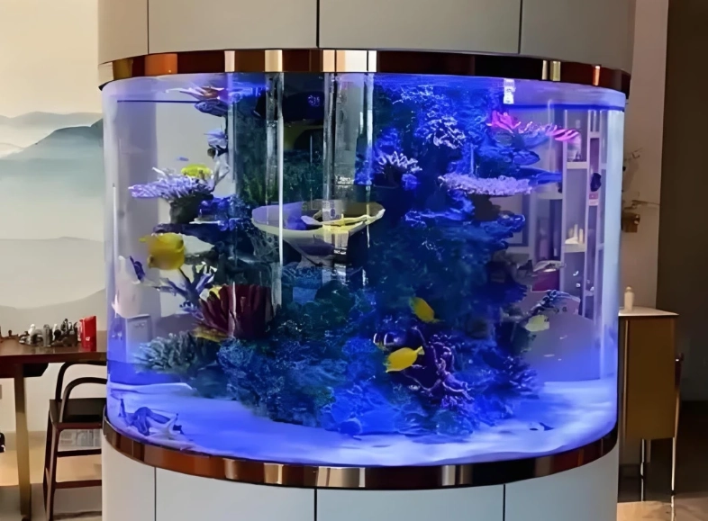 辦公室風水魚