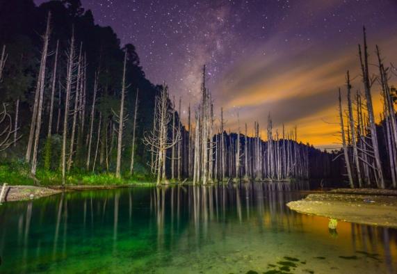 嘉義兩日遊行程