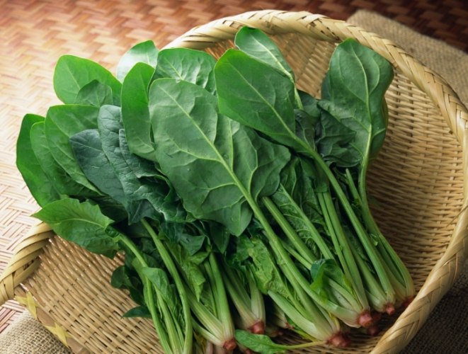 健康菠菜苗食譜 健康菠菜苗食譜