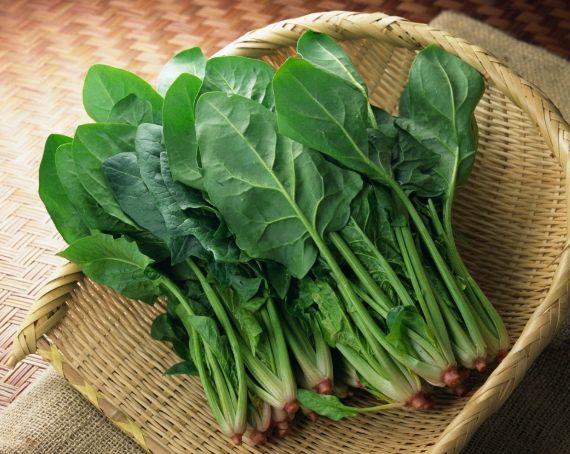 菠菜做法