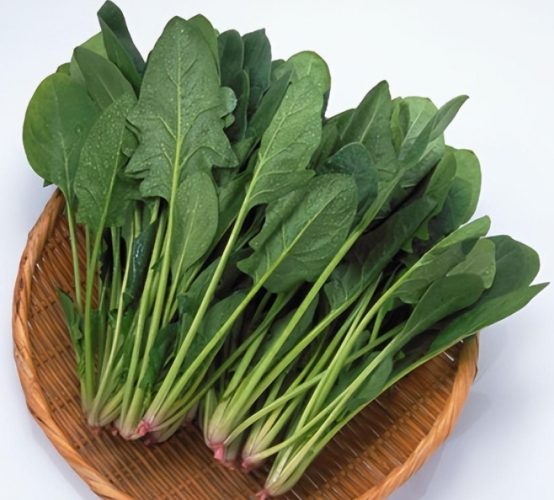 菠菜食谱