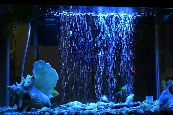 水族箱增氧 水族箱增氧