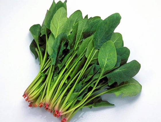菠菜苗食谱