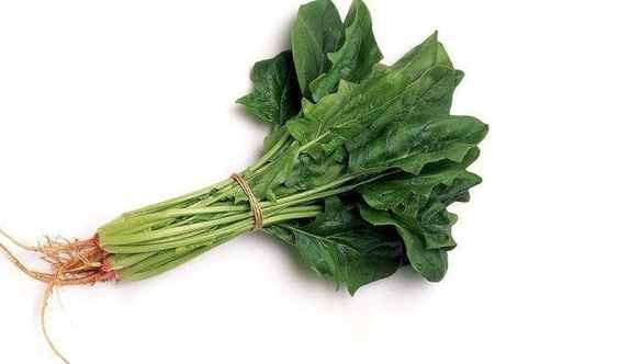 菠菜根料理