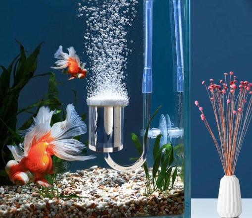 魚缸氧氣 魚缸氧氣