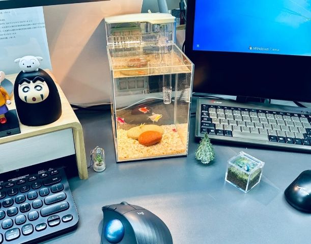 辦公室魚種推薦