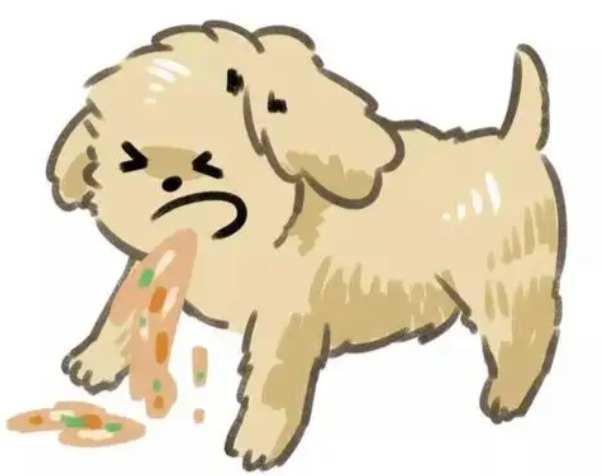 狗狗干呕原因